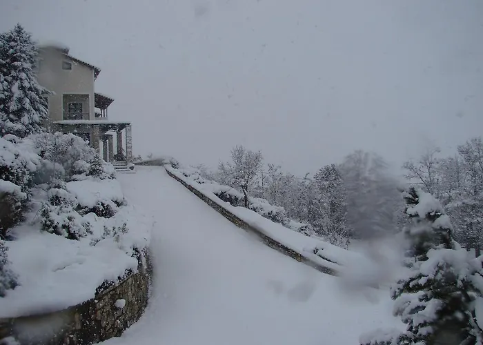 Botanica & 호텔 칼라브리타